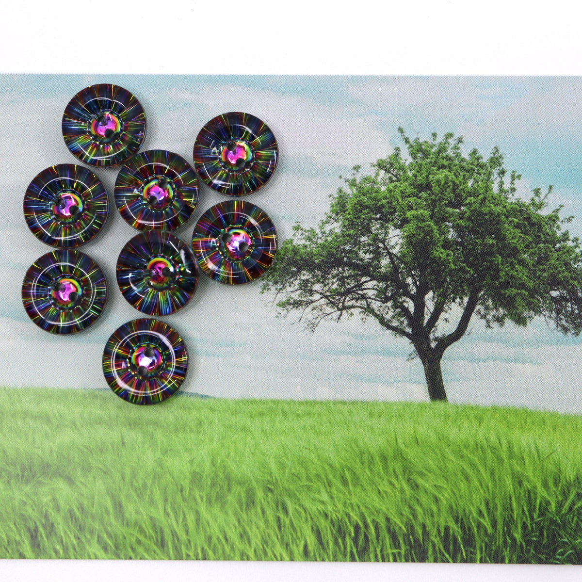 Buttons (Set of 8) - Spectrum | Poly | 13mm – Cloth Edit